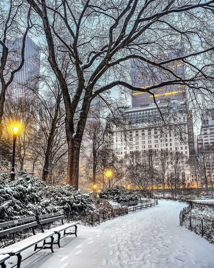 helena_mar19's tweet photo. Good Morning 
Have a Nice Day 

(NY-USA,📷Pinterest) https://t.co/MAv7zeSjdp