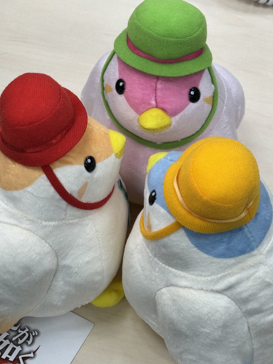 Bun-chan is so adorable! 文鳥の「ブンちゃん」プライズがいま手に