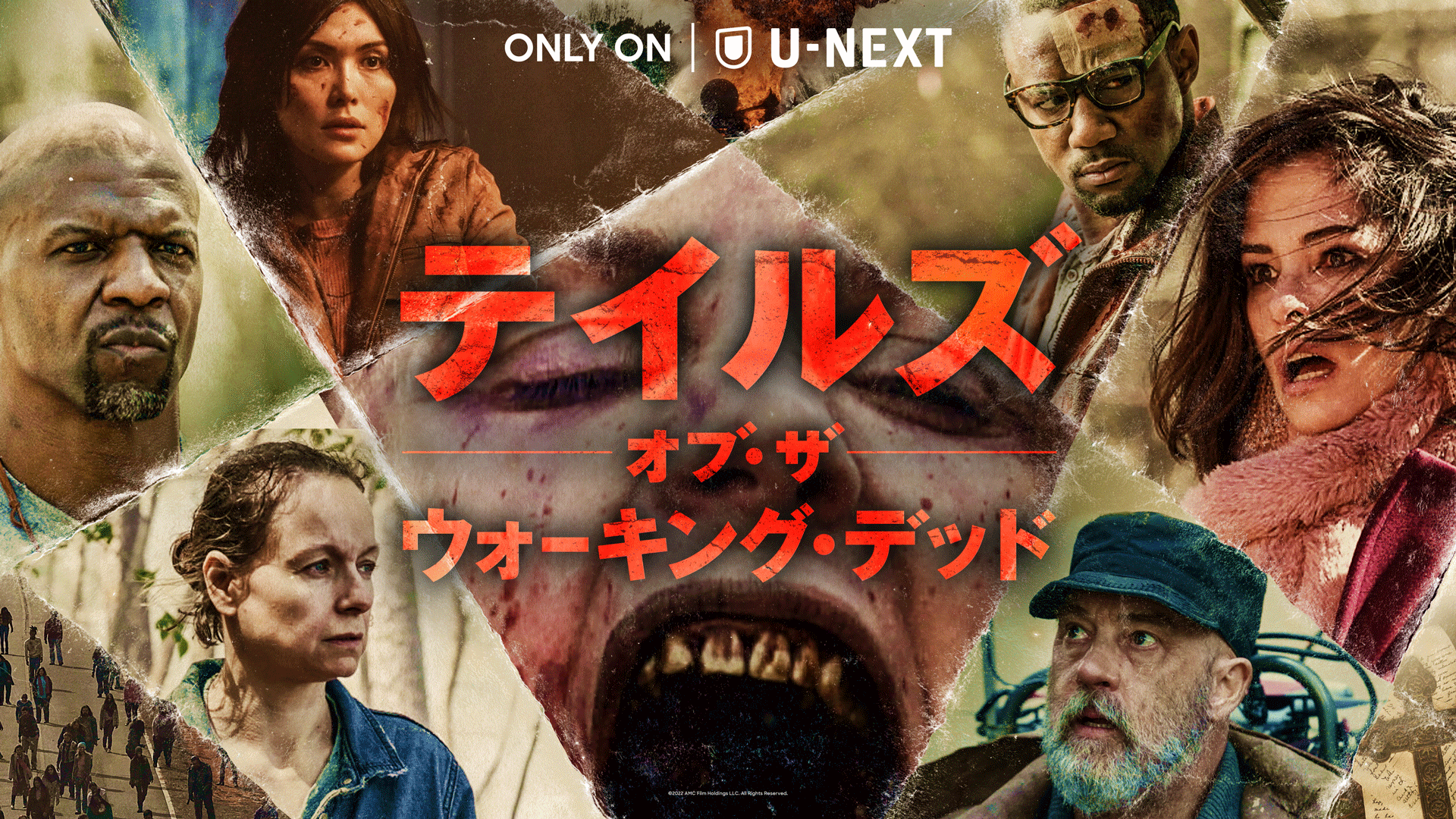 海外ドラマ
【 the L word】vol.1&vol.2コレクターズセット 今見るべきヨーロッパ発クライムドラマはこれだ！「国境を越えた