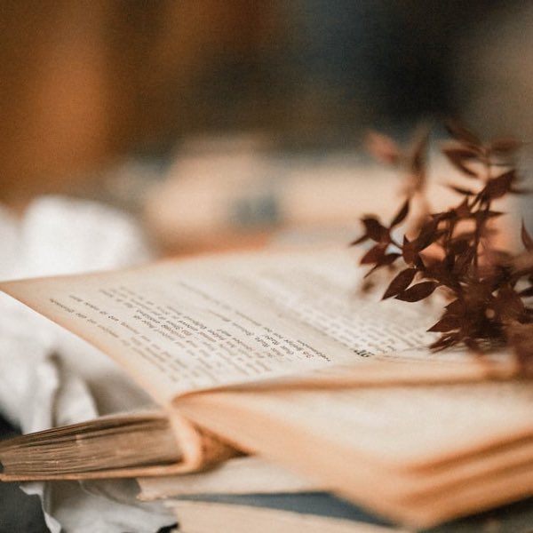 sabine_schaade's tweet photo. ↳ livros lidos em 2024 - A thread:
♡ 𓂃 

“Felicidade é uma xícara de café quentinho e um bom livro.”

Pratique a livroterapia! 📖 https://t.co/3I5DJyqbZj