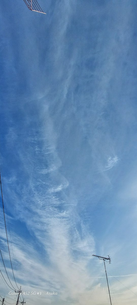yumeasutw's tweet photo. 長~く伸びる
#背骨 みたいな雲
見~つけた🦴
#巻雲
#朝空 #青空
#イマソラ #いまそら
#a2024 #a0119 #a202401 #a2024013 https://t.co/hblaR2zSHx