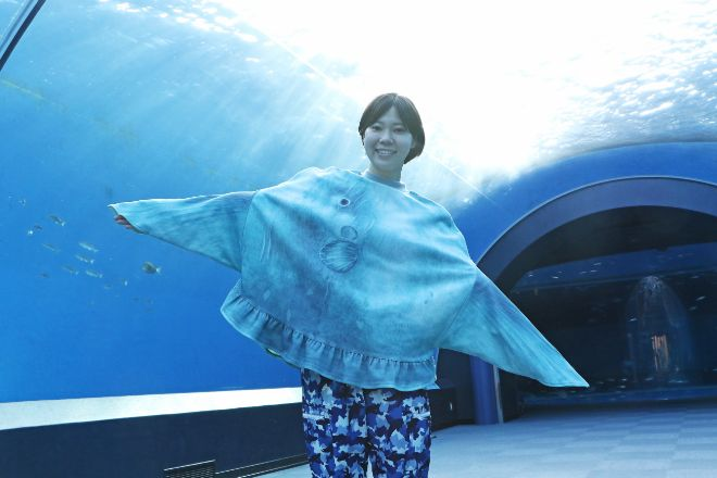 youmore_tw's tweet photo. ◆着るマンボウルームウェア　￥7,200（+税） 
横浜・八景島シーパラダイスの飼育員さん監修 

サイズは男女兼用サイズ。ちょっとしたおうちパーティーにもおすすめです。
さっと着られるマンボウが１枚あると、ここぞという場面で活躍します。

↓販売ページ
https://t.co/bQ6NWH8MU6 https://t.co/TqfQ8ZYqpx