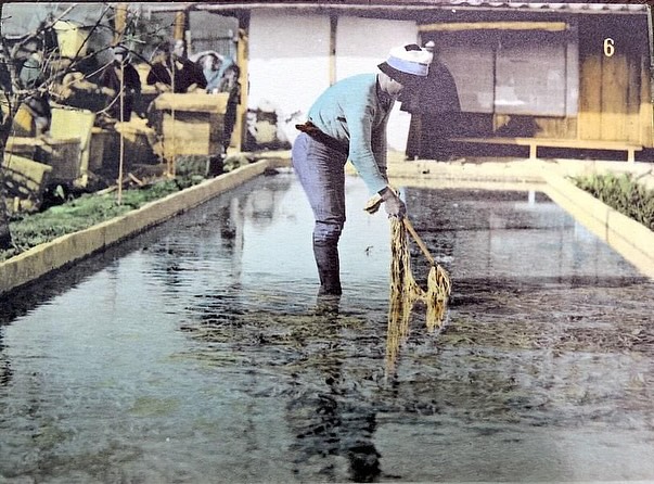 AwagamiFactory's tweet image. 昔の和紙づくりの風景。
今と着ている服や周囲の景色は変わっても、製造工程はほとんど変わっていません。
#washi #japanesepaper production has not changed so much over the years…..