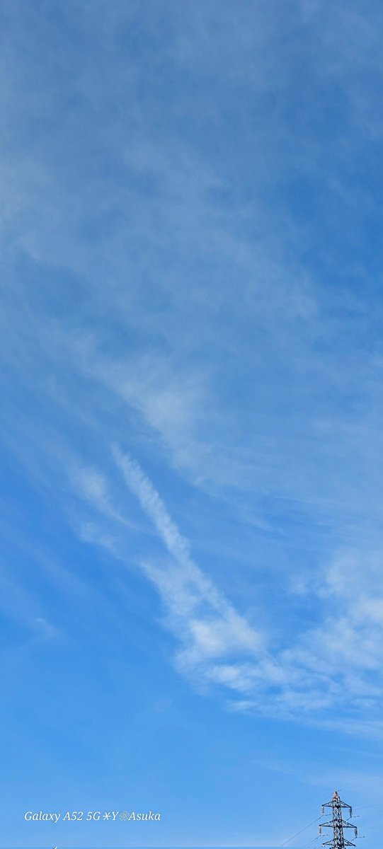 yumeasutw's tweet photo. #すじ雲 が広がる #青空 に
幾つも棚引く長~い #飛行機雲
✈️
/
/
次第に #巻雲 に成長しながらゆったりと流れてゆきます🤍
#人為起源雲
#朝空
#イマソラ
#空の名前
#天気の図鑑 #雲の超図鑑
#気象のはなし
#a2024 #a0119 #a202401 #a2024013 https://t.co/UfDzvoYnBU