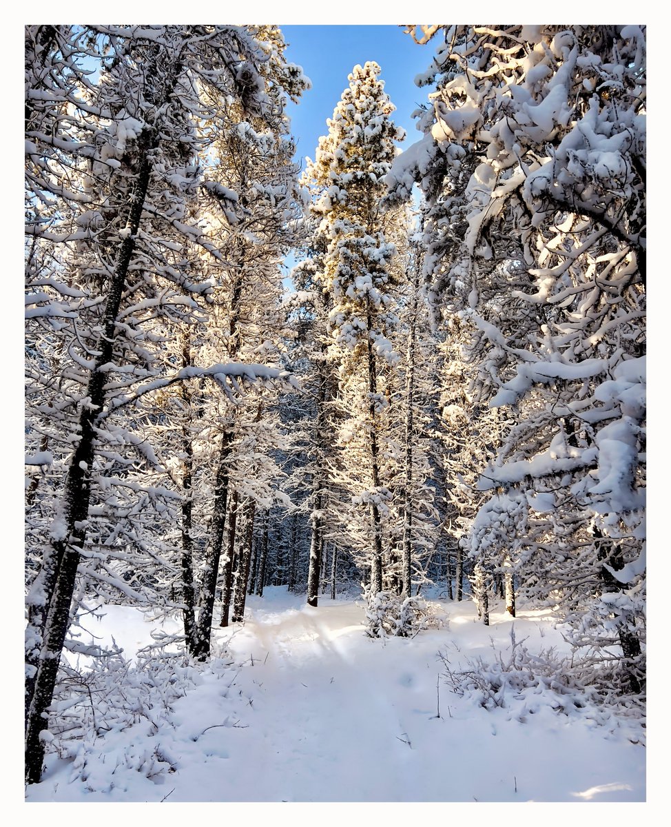 It was a good day… despite the unplanned aquatics … 

The Yukon delivers.