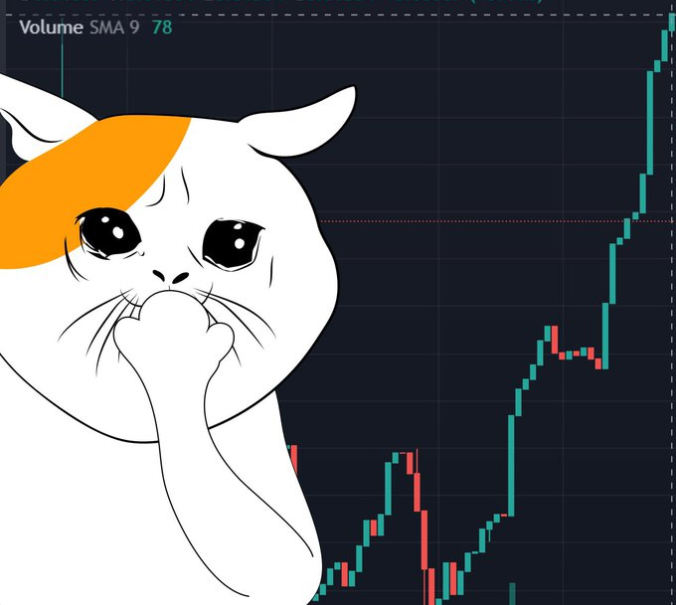 OniCatSOL's tweet photo. $ONICAT #SOLANA PAMPPPPP IT https://t.co/97ooTc1LSY