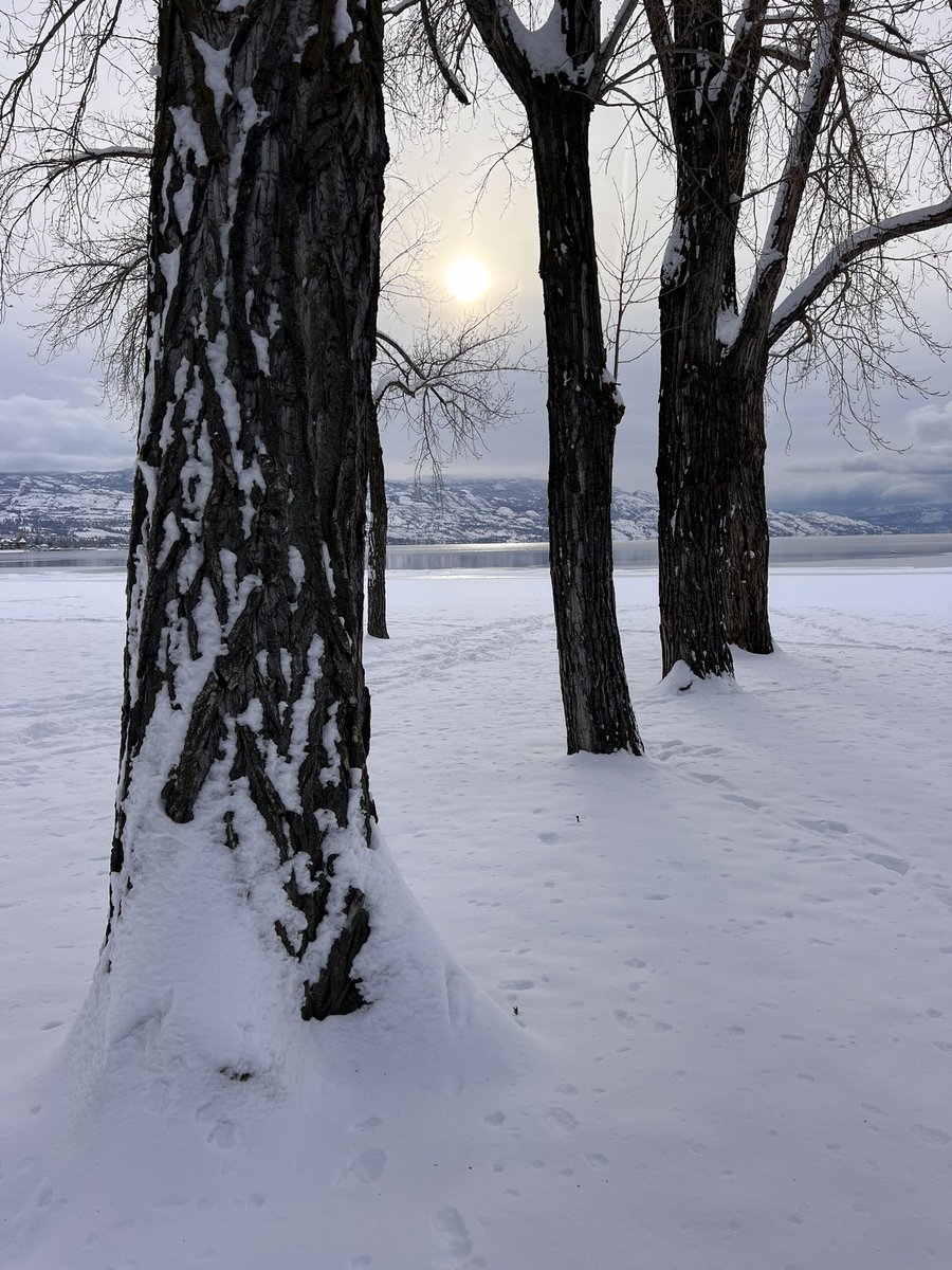 SUPokanagan's tweet photo. #snow on the beaches! #gyrobeach #ShareYourWeather https://t.co/wIXfuS9dg2