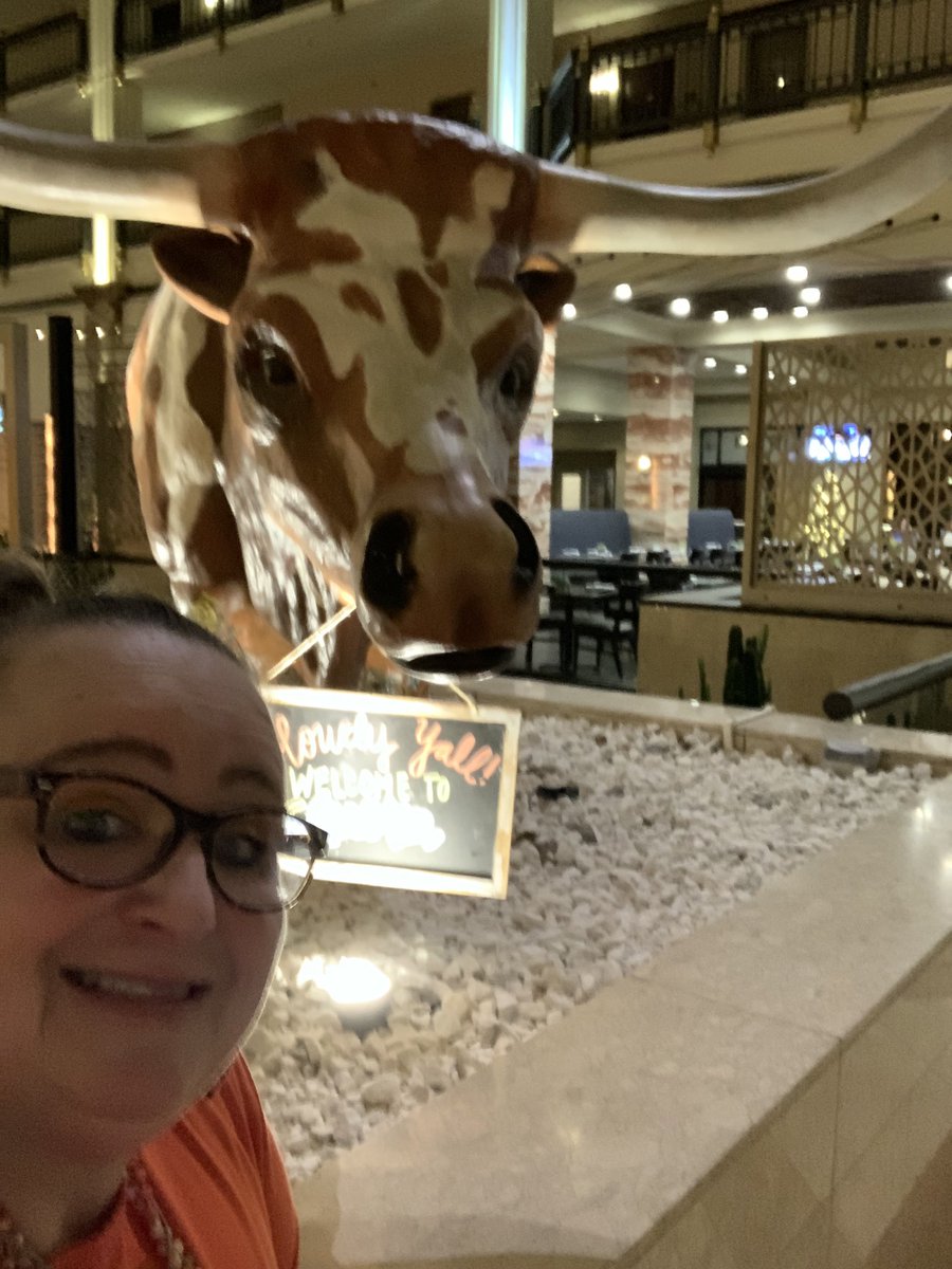 Hanging out in Austin with a longhorn <a href="/RenHotels/">Renaissance Hotels</a> for the <a href="/tsnaptalk/">TSNAP</a>.  We went to dinner out and about then came back and built connections with out school districts.