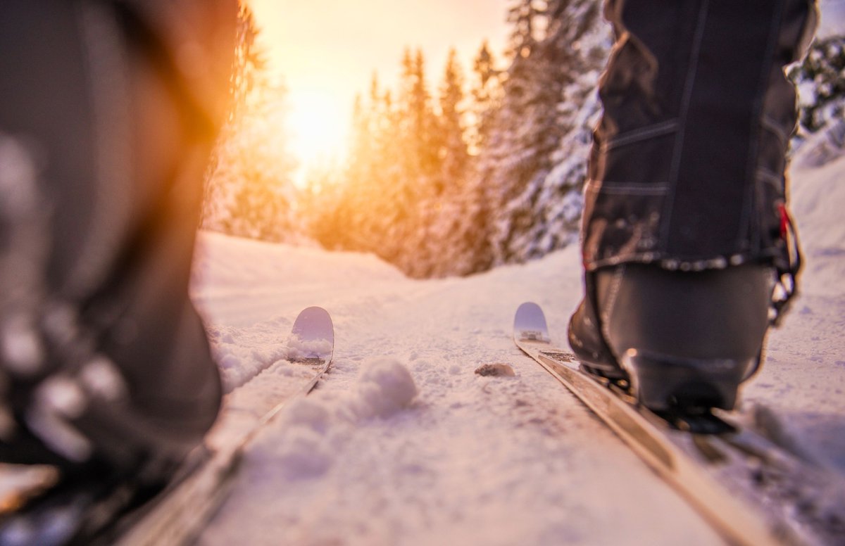PinkNinjaBlogg's tweet photo. Embrace the winter chill with our Fitness Challenges! ❄️💪 Stay in shape and have a blast with our fun workouts designed for the colder months.

Fun inside 👉 https://t.co/J19aOAqR6c

#WinterFitness #StayActive #FunWorkouts #HealthyHabits #FitLife https://t.co/se1OsGRyLD