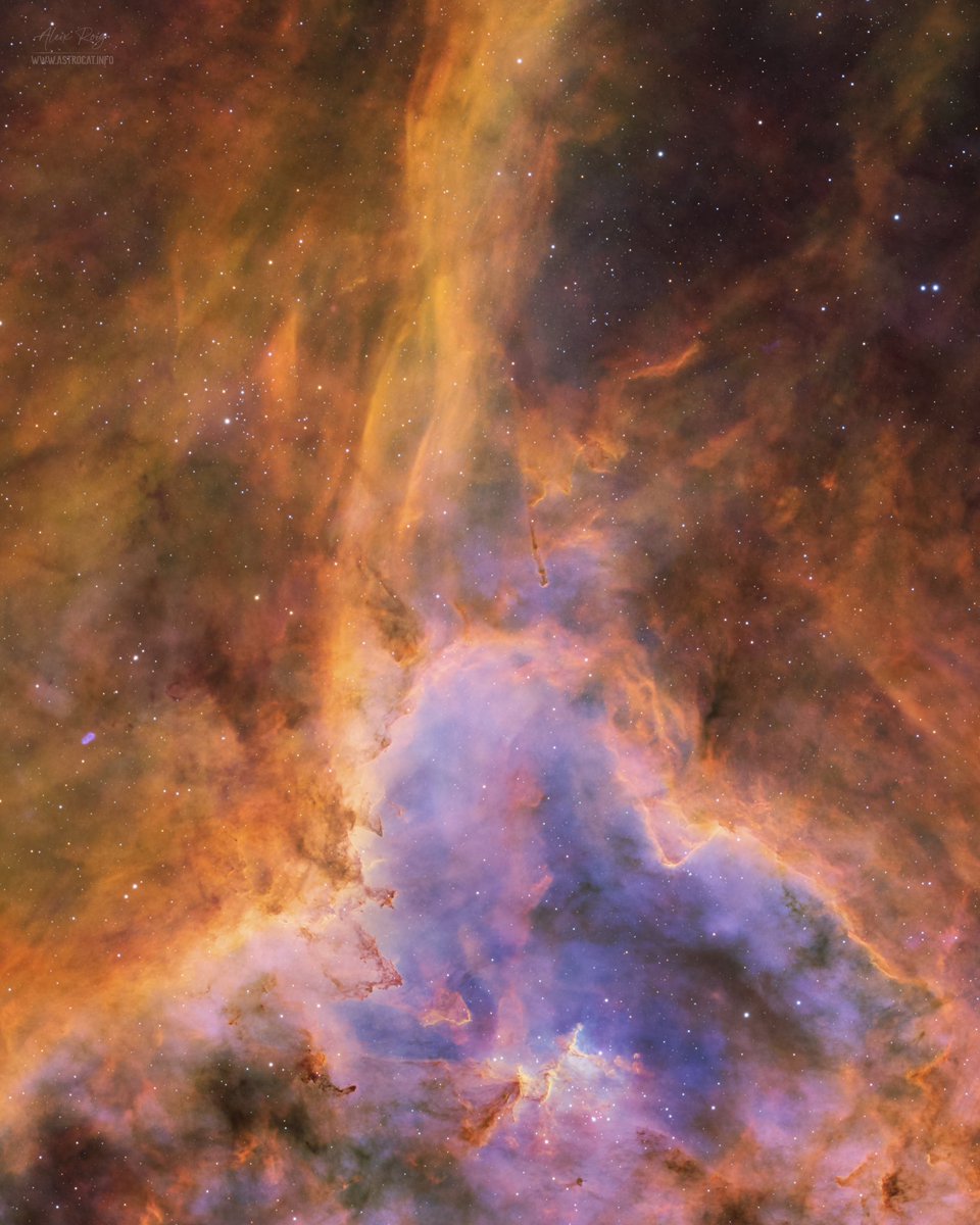 astrocatinfo tweet picture