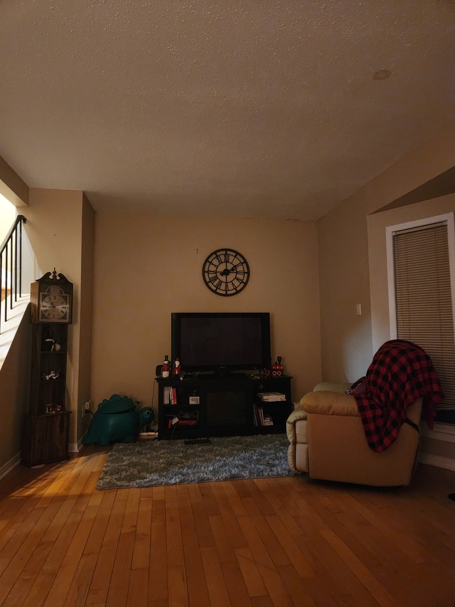 Solidchick4life's tweet image. I want to get a similar chair in front of my TV...I can't find something to match the other chair for cheap..then I look over at this furball in their expensive cat tree...I spent more on that than I want to on a chair. #spoiledcat