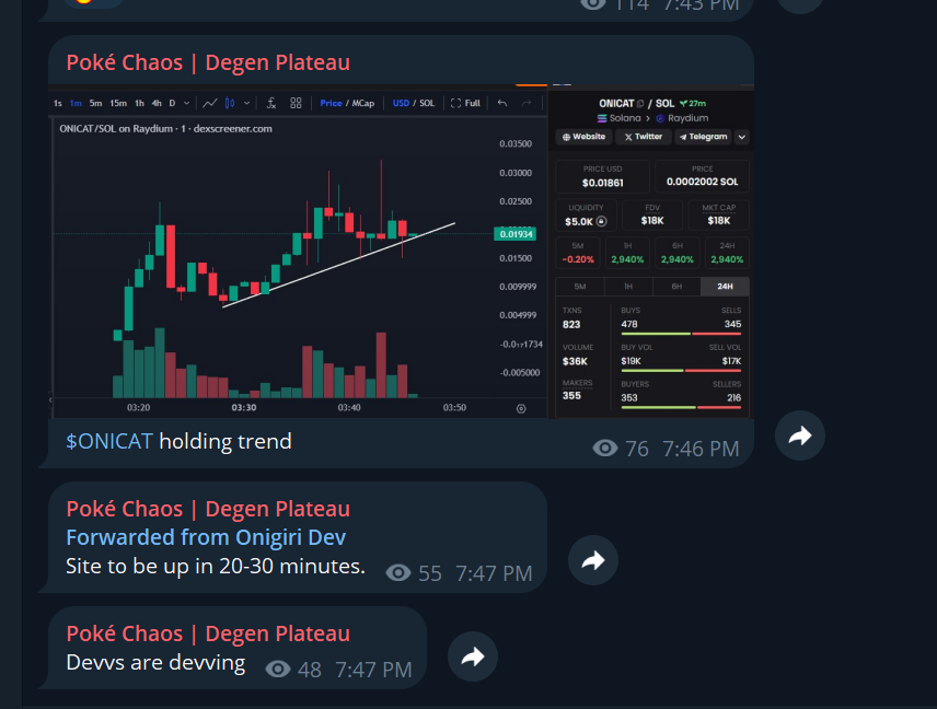 OniCatSOL's tweet photo. First caller to join the $ONICAT community: Poke
Lets welcome him with warm arms #Solana 
Who's next?! https://t.co/OVIrKZJPni