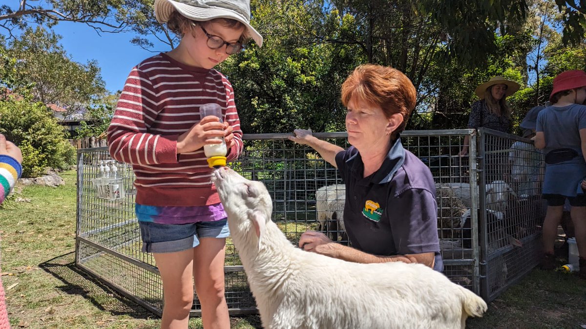 Glenaeon Rudolf Steiner School tweet media