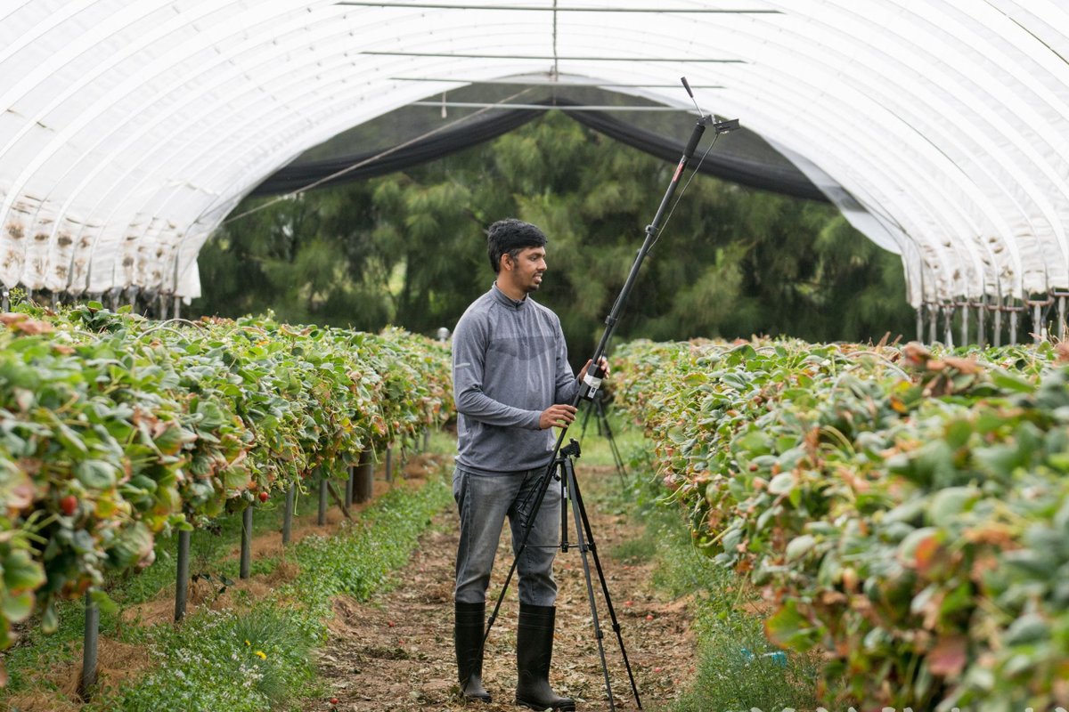 MonashInfotech's tweet image. Congratulations to Malika Nisal Ratnayake on being selected as a 2024 @NationalGeographic Explorer! This award recognises their innovative work on insect pollinator biodiversity with Assoc. Prof. Alan Dorin. Learn more: i.mtr.cool/grgngodkmw
#MonashInfoTech