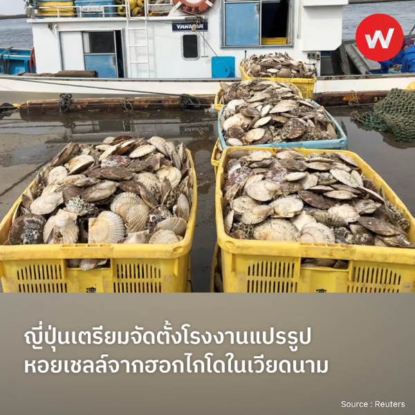 WABIZTH's tweet photo. ญี่ปุ่นเตรียมจัดตั้งโรงงานแปรรูปหอยเชลล์จากฮอกไกโดในเวียด���าม
อ่านเพิ่มเติม ：https://t.co/wGOsqQ1YCD

#wabiz #japan #business #japanbusiness #ญี่ปุ่น #ธุรกิจ #foodandbaverage #vietnam #scallops #china #hokkaido #seafood #เวียดนาม #หอยเชลล์ #จีน #โรงงาน #แปรรูป #ฮอกไกโด https://t.co/jN3ffsplSp