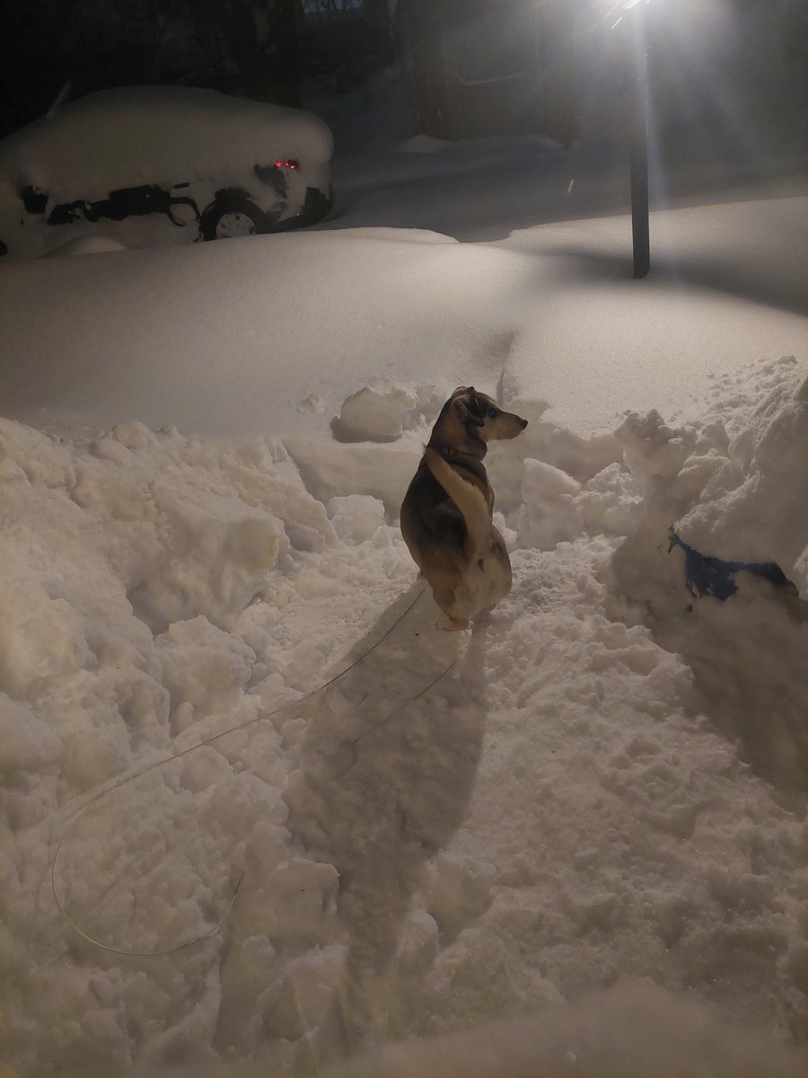 Todd Huski (@toddhuski) on Twitter photo 