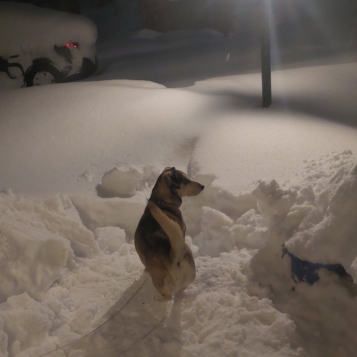 It's been a rough week pals. I've been off this step once in the last week come Saturday. Tomorrow she's going to make things better. Wind is not a friend right now.