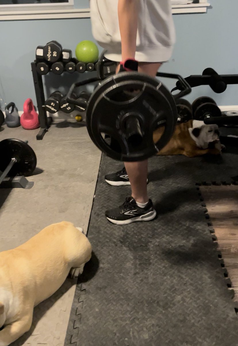 LSWAFFGK's tweet photo. Trying to get a workout in.  #bulldogs #gymdogs https://t.co/LPw2SuqpFO