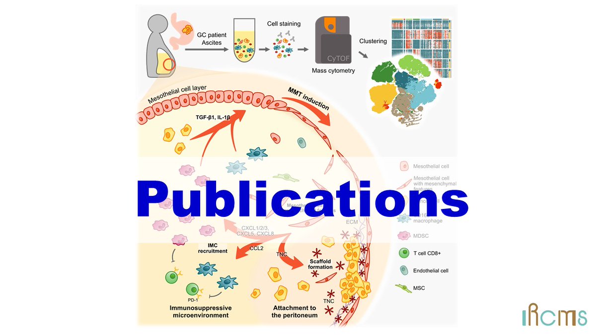 IRCMS, Kumamoto University tweet media