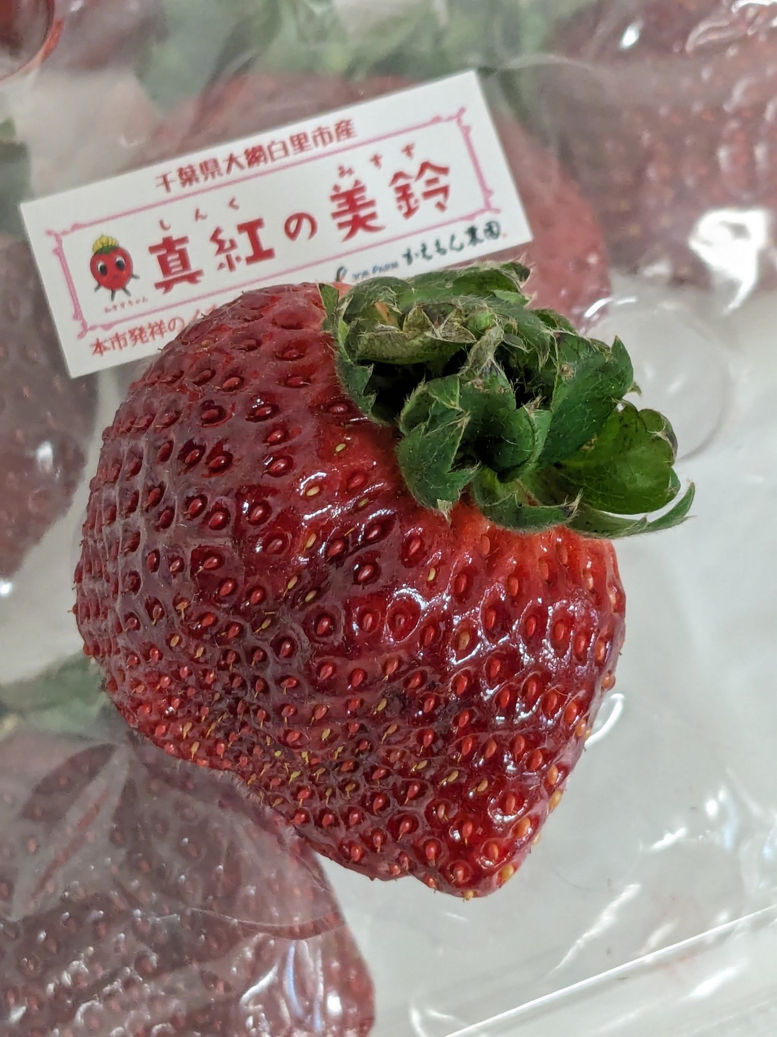 🍊豊洲市場ドットコム🍣 on X: 