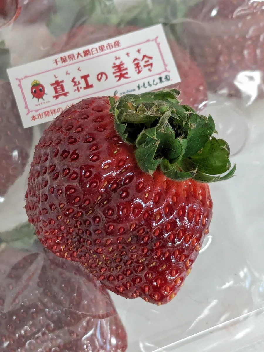 🍊豊洲市場ドットコム🍣 on X: 