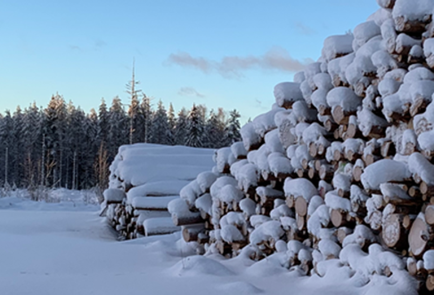 Puukauppa kävi vaisusti joulukuussa. Ostettu puumäärä jäi kolmasosan pienemmäksi kuin edellisenä vuonna. Keskihinnat kuitenkin kohosivat. Havutukeilla nousua marraskuusta noin prosentti, kuitupuulla kahdesta viiteen prosenttia. #puukauppa @LukeFinland ➡️luke.fi/fi/tilastot/te…