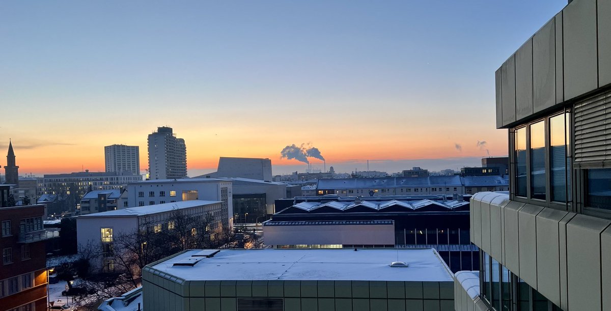 Daniel Lips tweet media