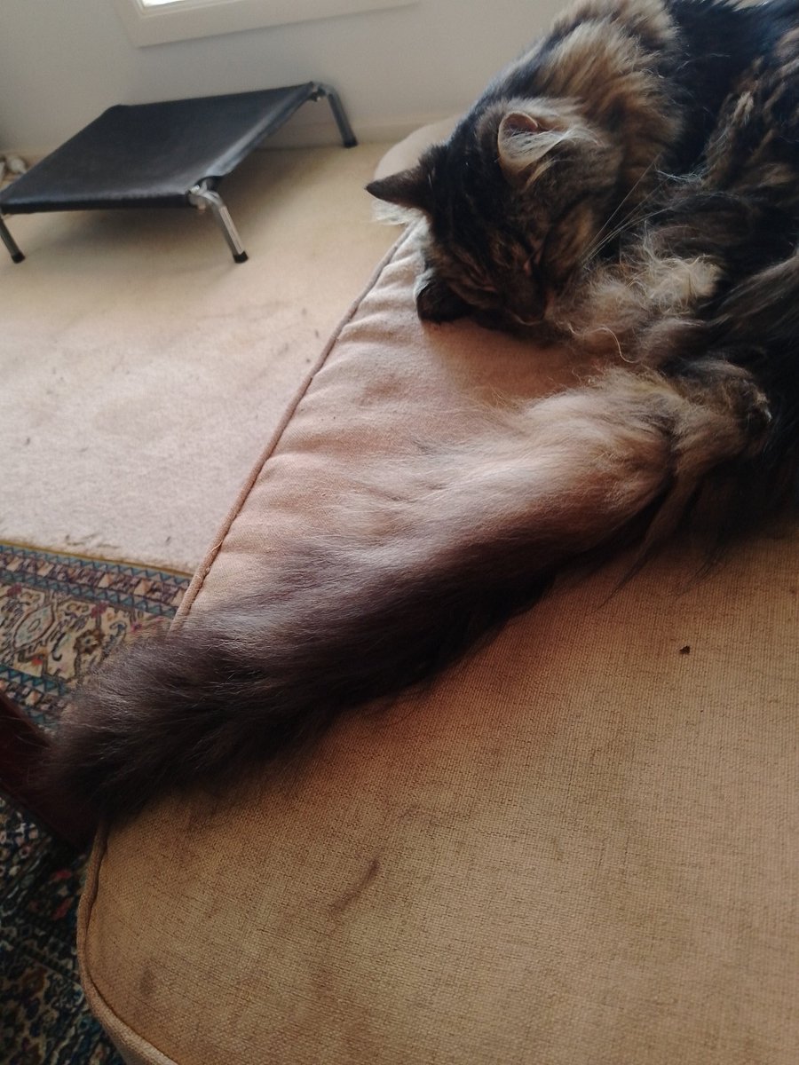 Jake asks: Am I too late for Tail-out Tuesday?