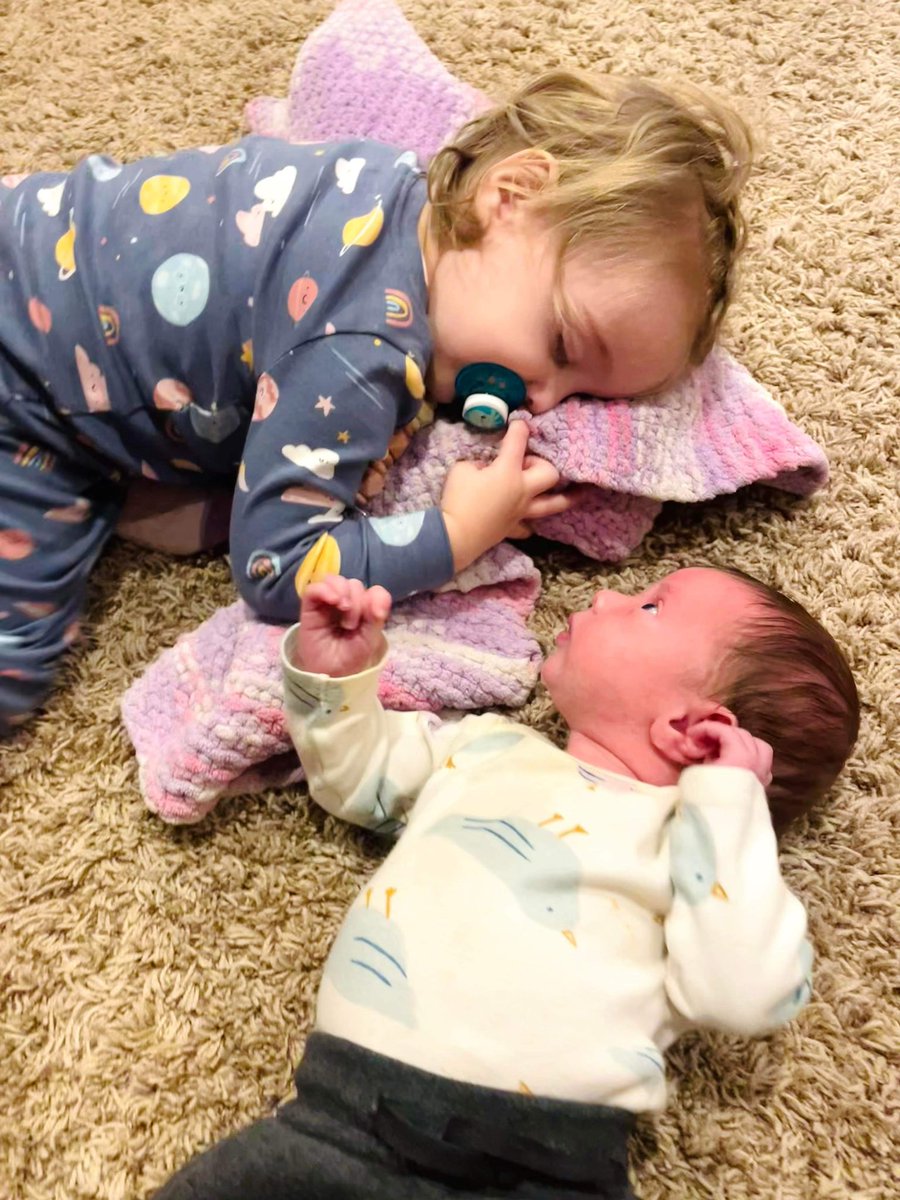 Randy Shaver tweet media