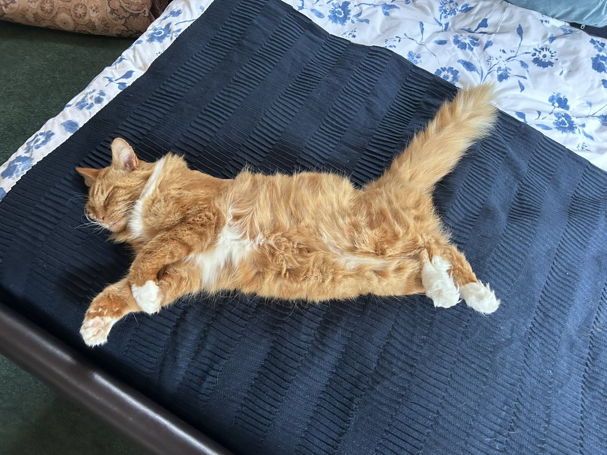 Rachel Jones tweet media