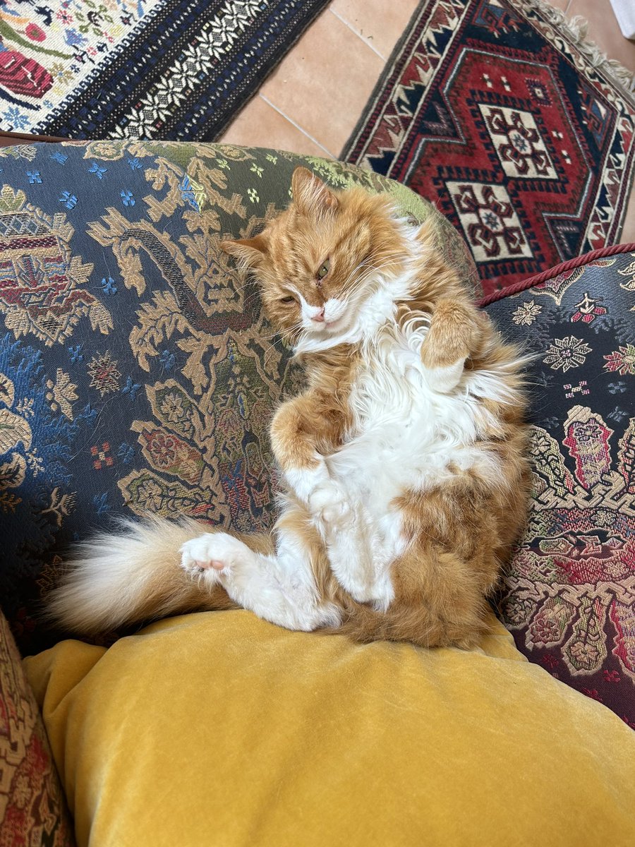 Rachel Jones tweet media