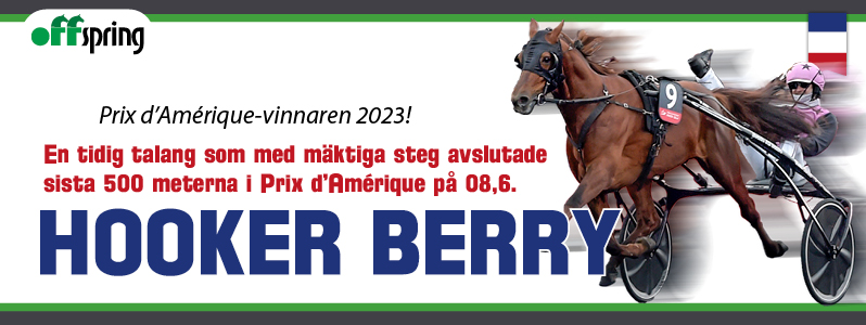 worldtrot.se tweet media