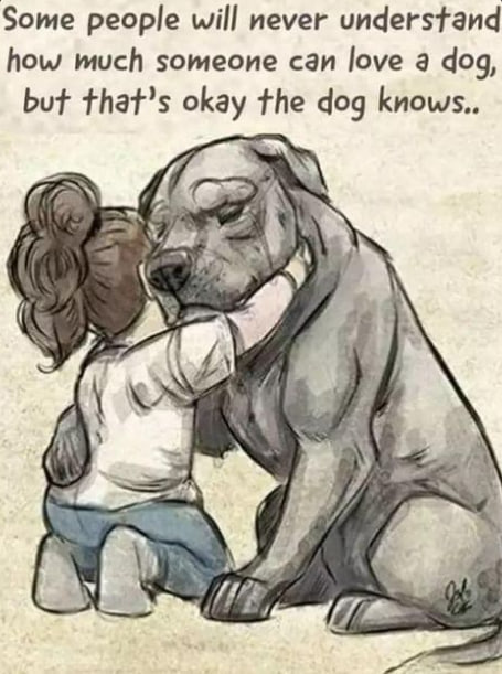 It can be disheartening when others don't understand our bond with our dogs. But as long as our furry friends know how cherished they are, that's what truly matters❤️
