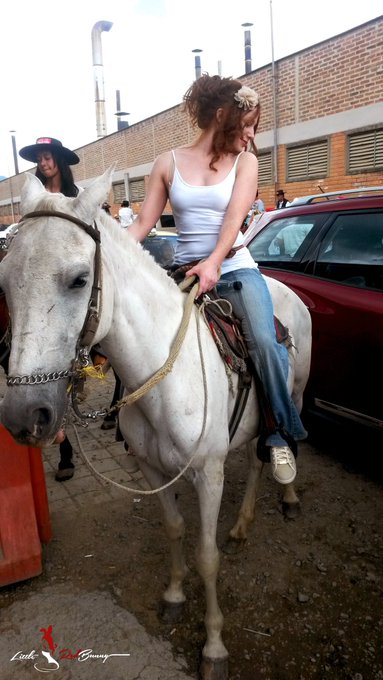 Here's a picture of a bunny riding a horse. Why don't you come take a ride with me tonight. We can both