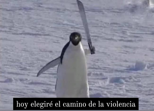 carol25183's tweet photo. Yo después de ver todos los edits de las spawlers lindas.
* No estoy llorando https://t.co/FcaSGyHguc