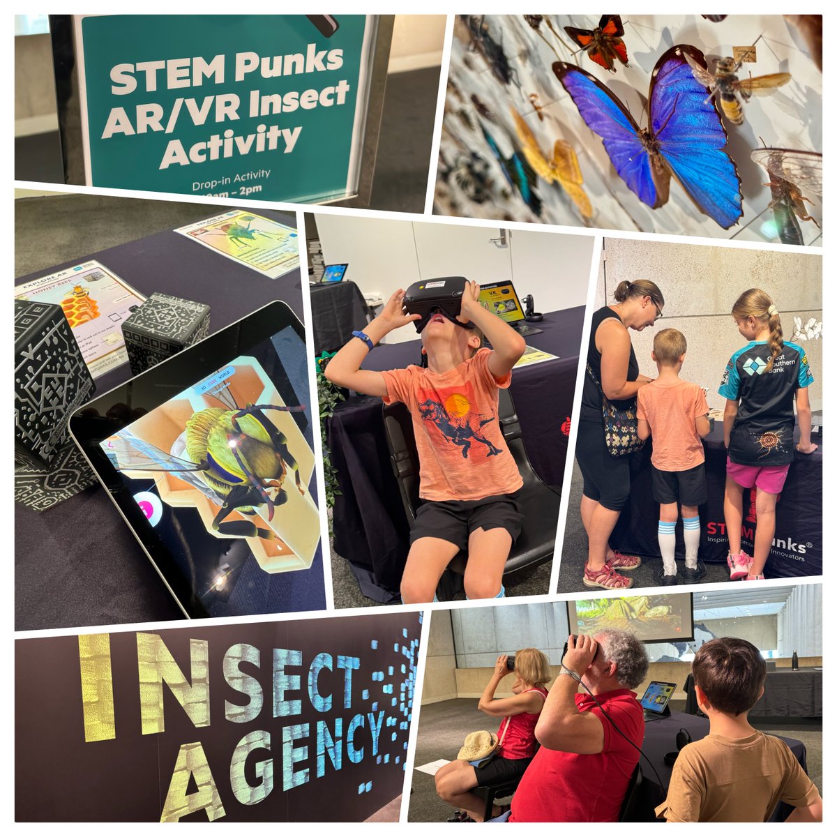 STEM Punks has spent 2 days this week at @qldmuseum Bug Fair 🐞 🐛. Over 300 people went hands on with our guided Augmented and Virtual Reality experiences via @mergeedu Cubes and Oculus VR. What a great way wrap up the Australian school holidays! 

#ARVRinEdu #STEM #SpatialEdu