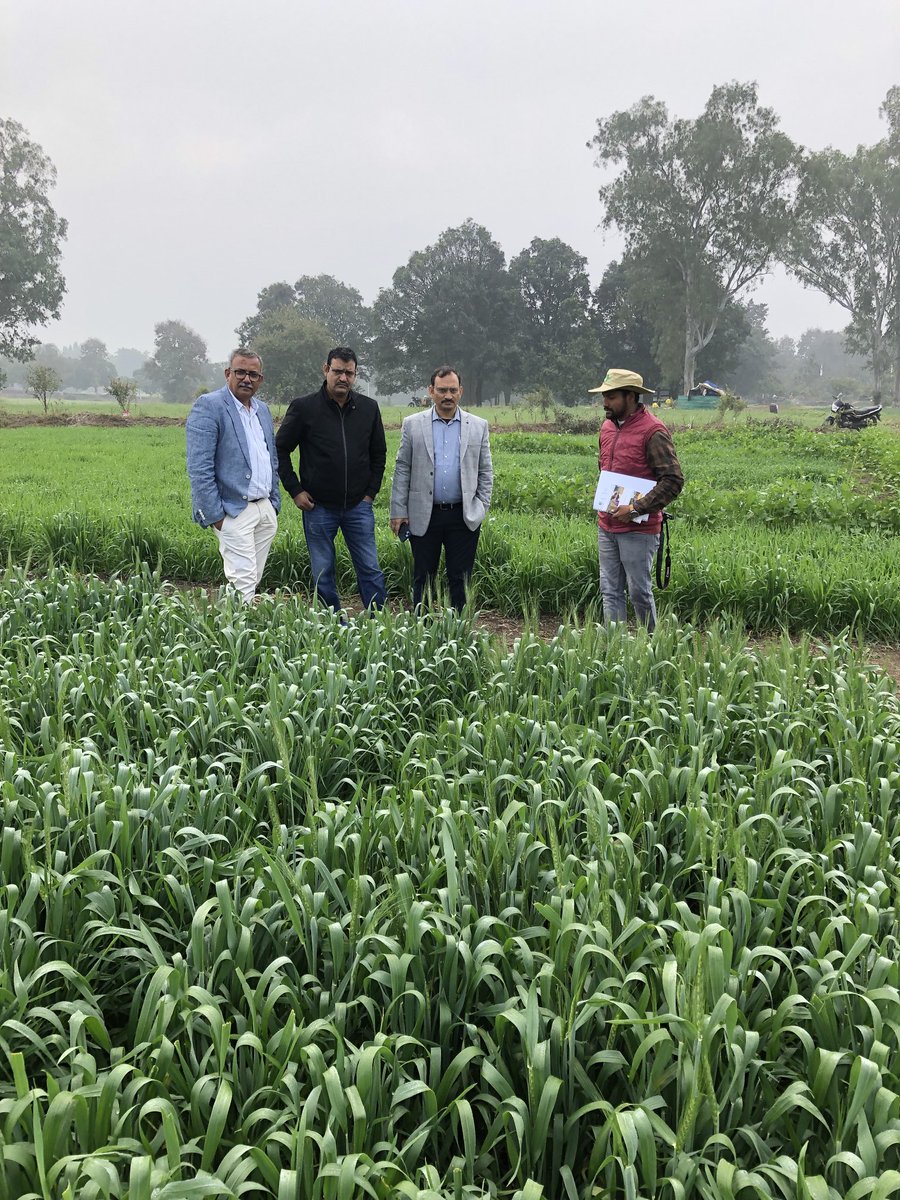 Ravi Gopal Singh (@rgosingh) on Twitter photo Head ICAR-IARI Dr SS Rathore visiting <a href="/BISA__India/">Borlaug Institute for South Asia</a> for possible collaboration in research for development <a href="/RajKuma26871824/">Raj Kumar Jat</a> Head ICAR-IARI Dr SS Rathore visiting <a href="/BISA__India/">Borlaug Institute for South Asia</a> for possible collaboration in research for development <a href="/RajKuma26871824/">Raj Kumar Jat</a>
