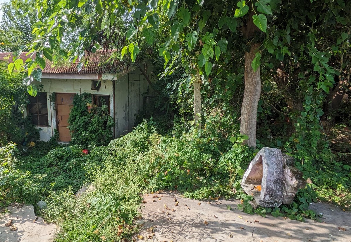 koulsaebh's tweet image. 34 years. The sheer darkness people went through. Camps, halls, temples wherever one could find space. Yet people never lost hope. Hope for a better tomorrow. Even in poems filled with longing and pain, Hope never died. Naman to that hope
#KashmiriPandits