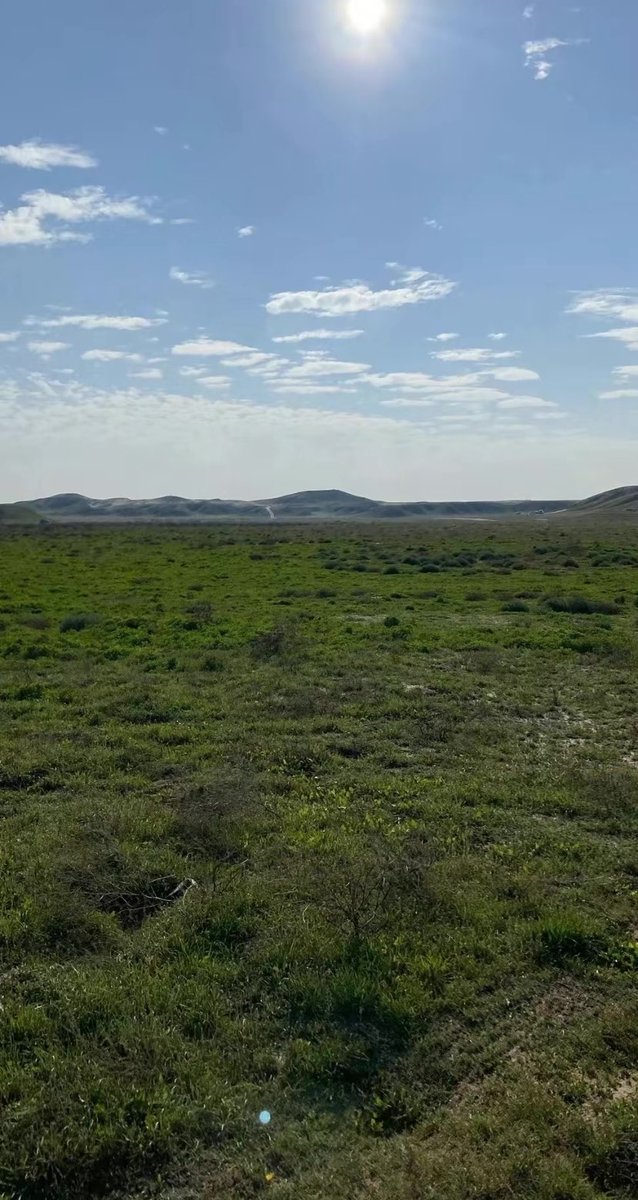 eu_101's tweet image. الصمان