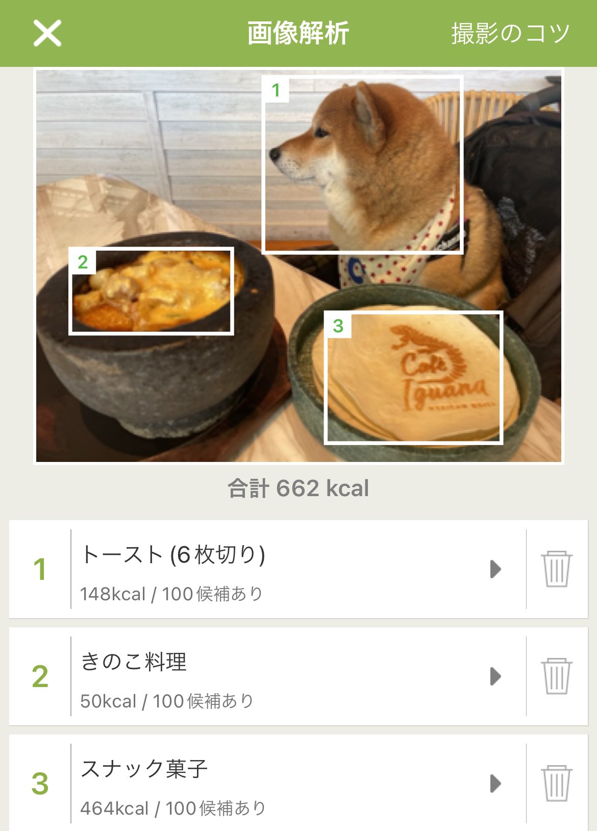 柴犬是吐司