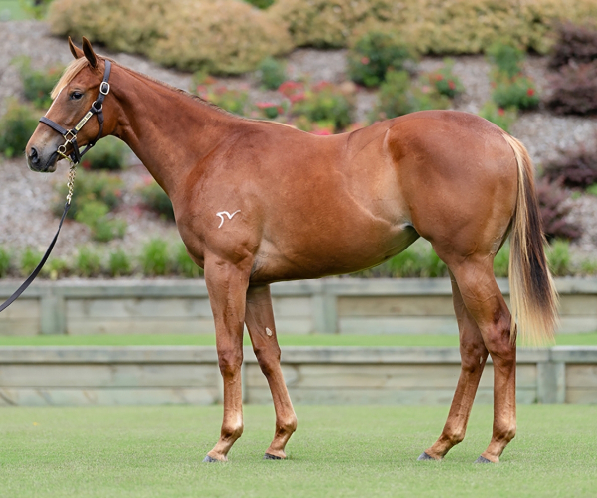 Duncan Ramage tweet media