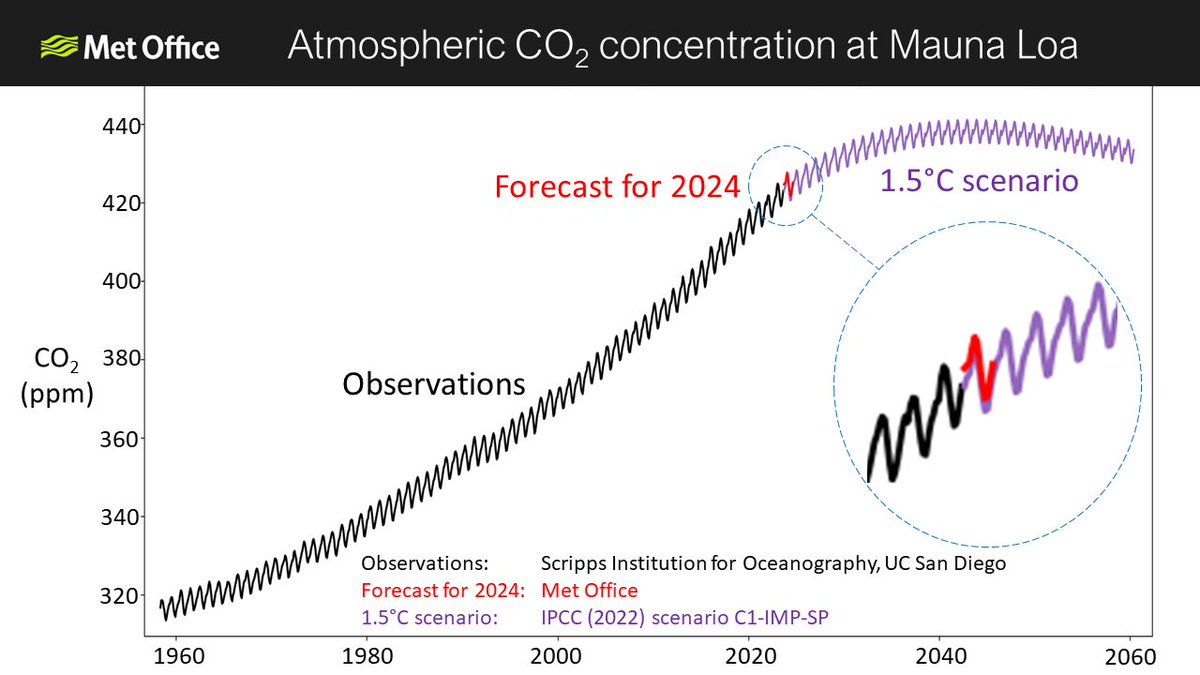Our forecast of the atmospheric CO2 rise for 2024 is out 🧵

To limit global warming to 1.5°C, the build-up of CO2 in the air would need to stop very soon

But with a rise of 2.84 ± 0.54 ppm expected this year, there's no sign that the CO2 rise is slowing

metoffice.gov.uk/research/clima…