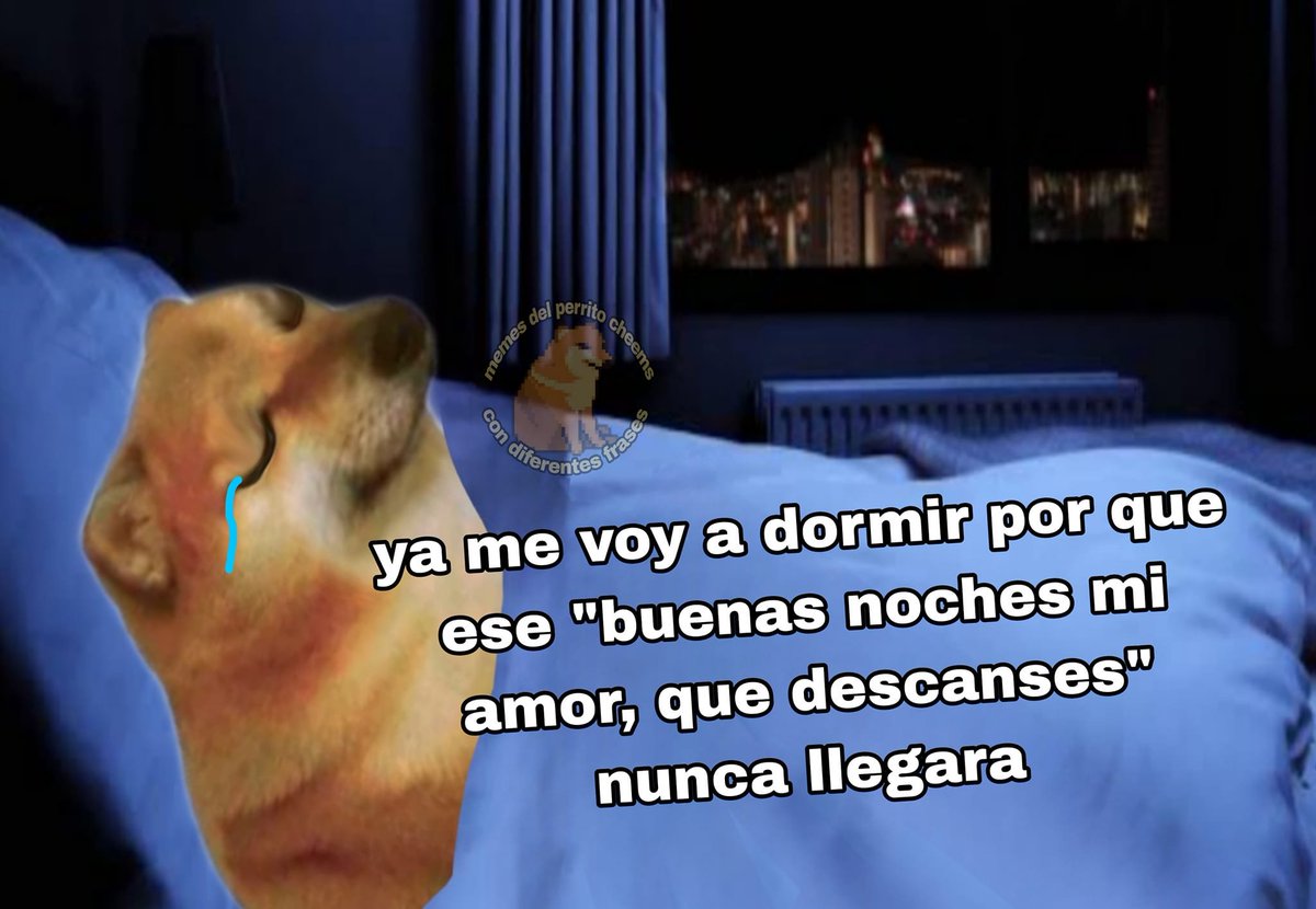 Buenams Nomches🐶, image size:1200x830