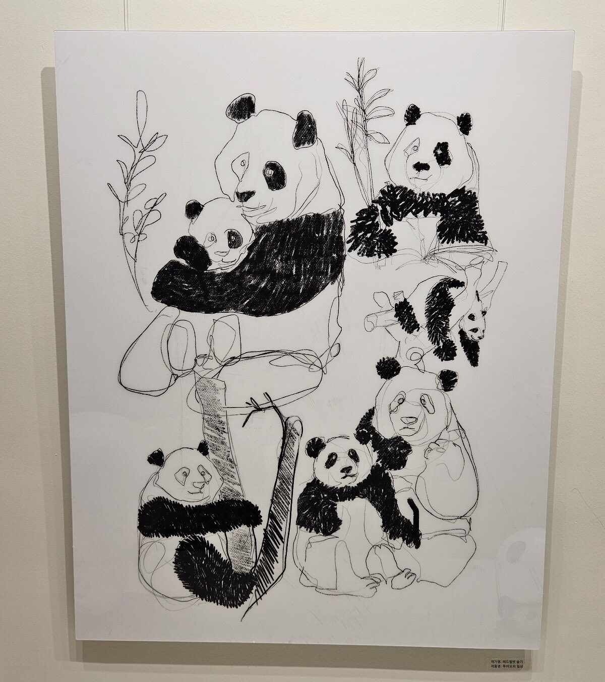 絵画  パンダ 楽天市場】パンダ（アートパネル・アートボード｜壁紙・装飾