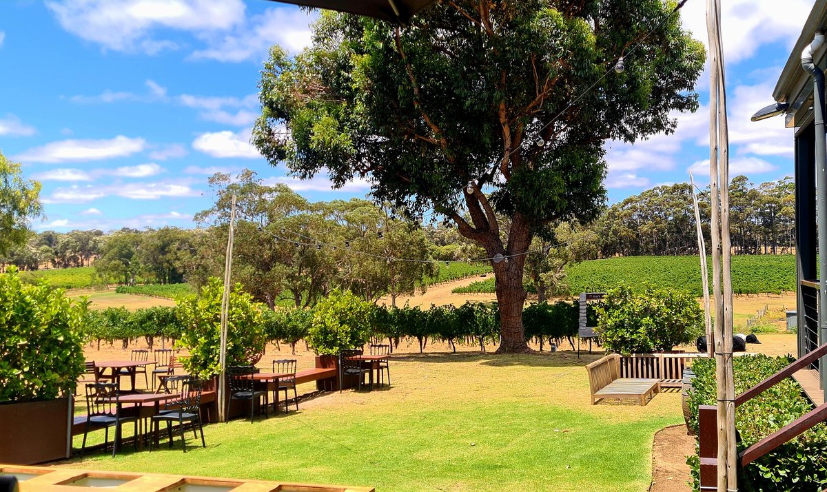 FreoLou's tweet image. I could not finish the tart so it and the cheese came home with me. I am so full that it hurts lol. 

Great value for money at only $85pp (plus drinks) and amazing food in beautiful surroundings #Rustico 

I now need a nap lol