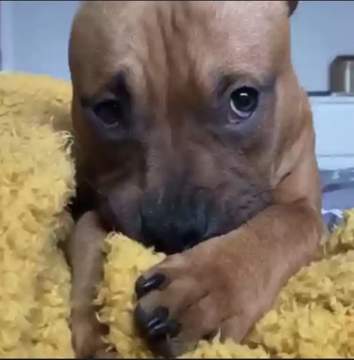 marvalexten's tweet photo. Yo escuchando el álbum de Eladio esperando a que cualquier canción tenga un cambio de beat y se convierta en el trap más sucio y asqueroso posible https://t.co/1SGehCwv1K