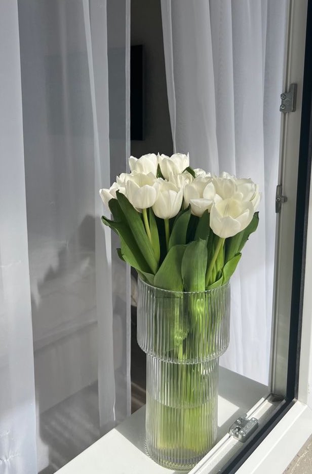 i3Moment's tweet photo. White Tulips https://t.co/EzlQHLRD2h