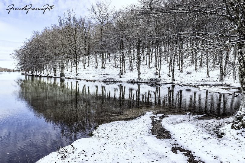 White Sunday ❄️ 📸 Lago Maullazzo #AlcaraLifusi #visitsicilyinfo #messina #sicily #sicilia @ParcoNebrodi