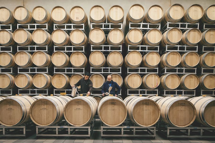 Vous avez toujours rêvé de savoir comment les vignerons font leur #vin ? 🍷

Chaque week-end, le Château Cormeil-Figeac vous ouvre ses portes pour partager ce savoir-faire avec vous lors d'un atelier d'assemblage en compagnie de la viticultrice et son équipe.