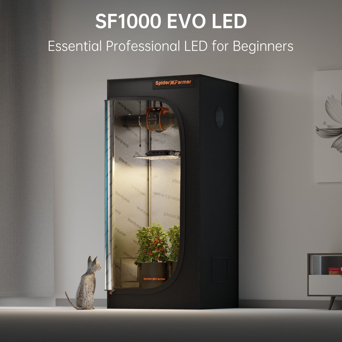 Elevate Your Grow Game with the Spider Farmer SF1000 EVO! ☀️☀️☀️
✅Samsung LM301H EVO
✅Dimming Daisy Chain
✅Full Spectrum

#spiderfarmer #spiderfarmerled #spiderfarmersf1000evo #sf1000evo